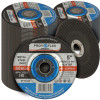 Zestaw 100x tarcza do szlifowania Profi-Flex 125 x 6,0 x 22 - PF10189_px100 - Profi-Flex - 1