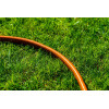 Wąż ogrodowy 4-warstwowy 3/4" 50 m Economic Neo Tools - 15-805 - NEO Tools - 6