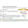Spodnie dwukolorowe Bizflame Ultra Portwest - FR06 - Portwest - 3