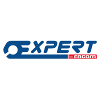 Expert