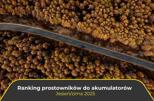 Ranking prostowników do akumulatorów. Jesień/zima 2025